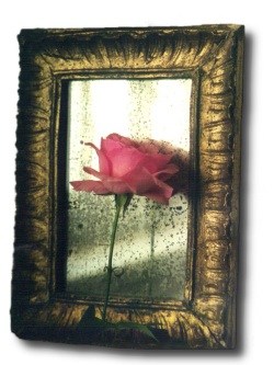 rose & old mirror